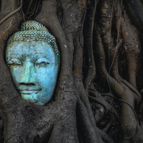 Il Buddismo: definizione e principi